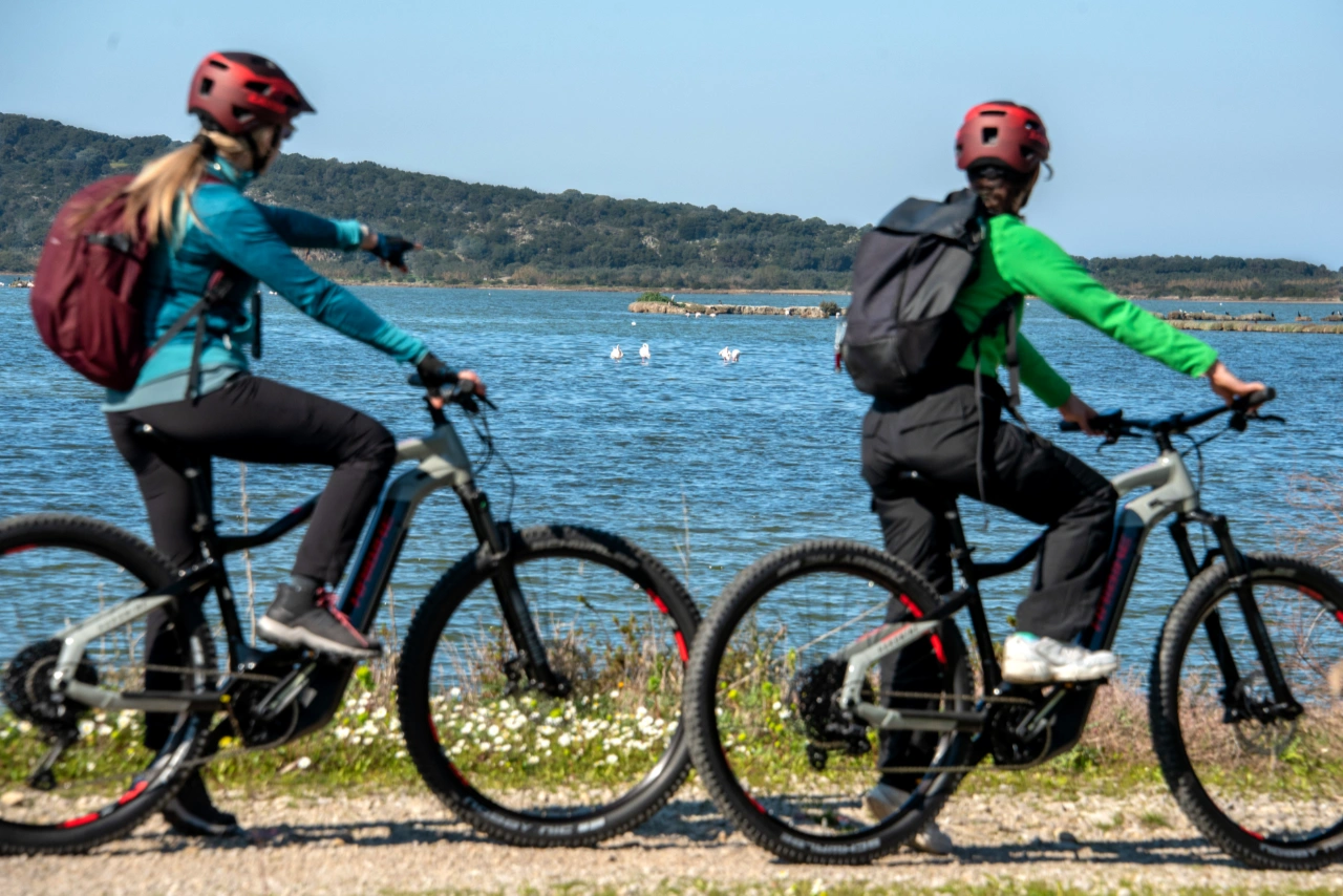 Flamingos, herons, and more than 270 species of birds, go hand by hand with history and Homer's Odyssey, at Navarino Bay and Gialova Lagoon.